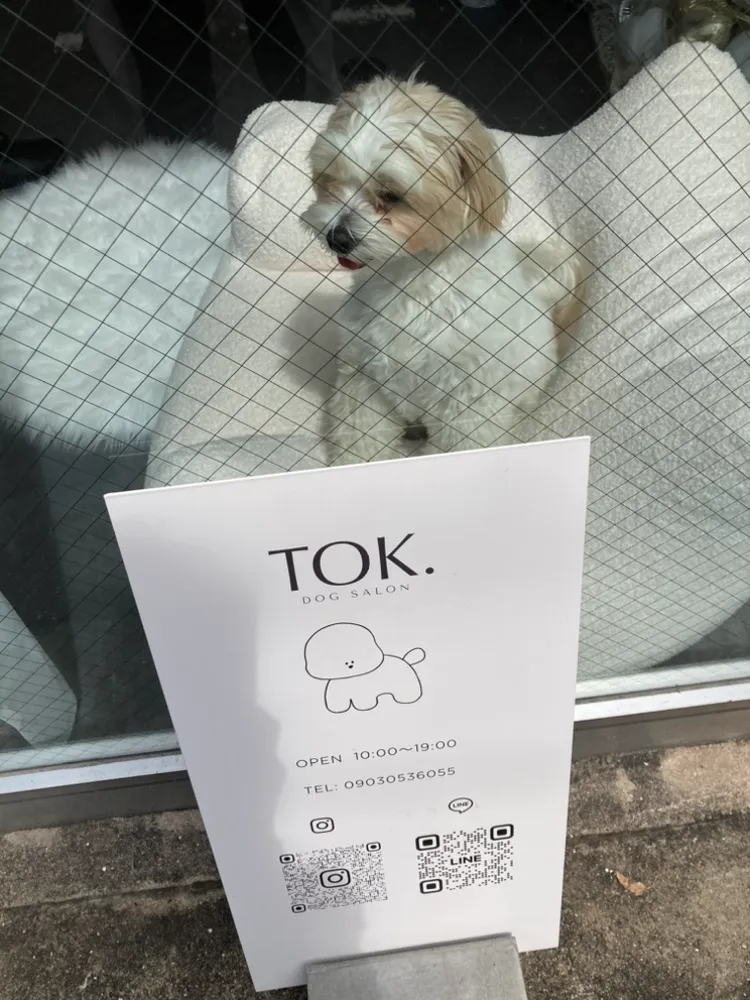 到着ドックサロントックです