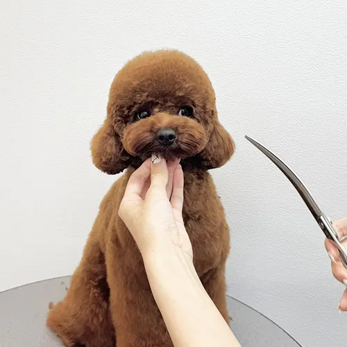 STEP5: 仕上げカット